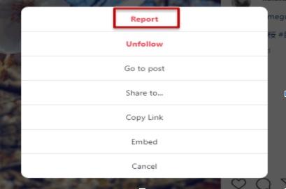 Report option