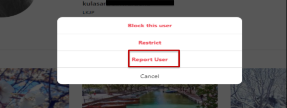 Report User
