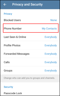 Phone Number 1